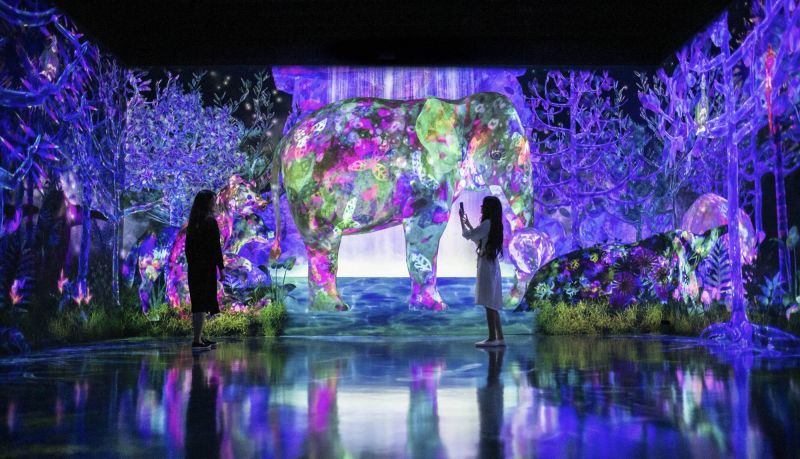 teamLab forest